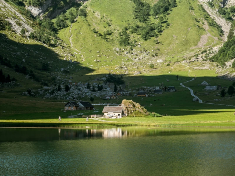 Swiss Alps