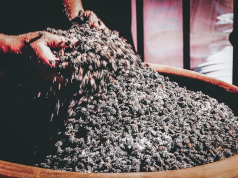 Fermentazione