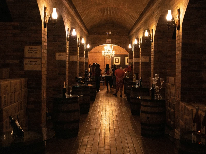 Tour della Cantina
